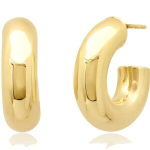 DANNIJO Gold Hero Earrings